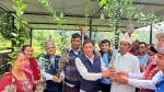आँधीखोलामा सुन्तला–कागती खेती विस्तार, किसानलाई सहुलियतमा बिरुवा