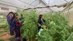 पढाइसँगै तरकारी खेती, पञ्चकन्या माविका विद्यार्थी आत्मनिर्भरतर्फ