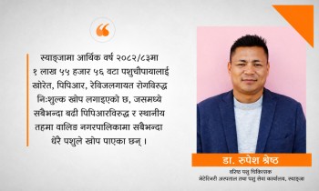 स्याङ्जामा डेढ लाखभन्दा बढी पशुचौपायाले पाए निःशुल्क खोप