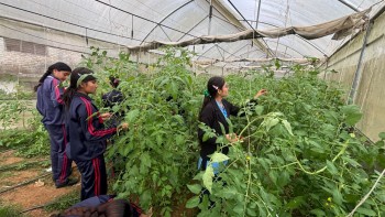 पढाइसँगै तरकारी खेती, पञ्चकन्या माविका विद्यार्थी आत्मनिर्भरतर्फ