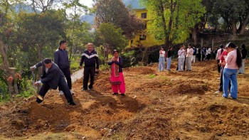 वालिङको सामुदायिक विद्यालयले सुरु गर्‍यो केराखेती