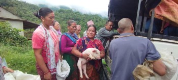 महिलाहरुलाई आत्मनिर्भर बनाउन बङ्गुरका पाठापाठी वितरण