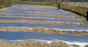 आँधीखोला किनारमा तर्बुजा खेतीको परीक्षण, भीरकोटको नयाँ कृषि प्रयोग