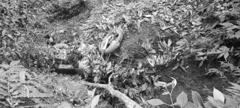 स्याङ्जामा मोटरसाइकल दुर्घटना: राष्ट्रिय कृषि परियोजना कास्कीका प्रमुख लम्सालको मृत्यु