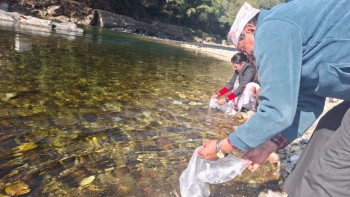 भीरकोटस्थित आँधीखोलामा १५ सय भुरा माछा छाडियो