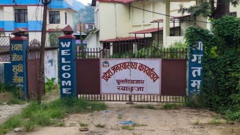 स्याङ्जामा तीन महिनामा ४३९ जनामा स्क्रब टाइफस