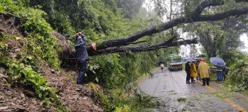 स्याङ्जाको मालुङ्गा सडकखण्डमा ढलेको रुख हटाइयो