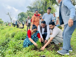 ४३ औं बिपि स्मृति दिवस: नेपाली काङ्ग्रेस अर्जुनचौपारीद्वारा वृक्षरोपण