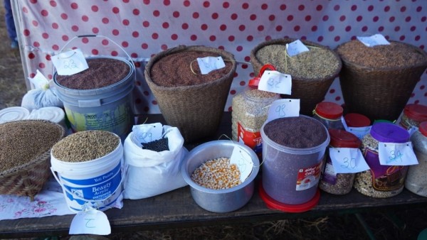 फेदीखोलामा पाँचौ कृषि मेला सम्पन्न, ८५ कृषक पुरस्कृत