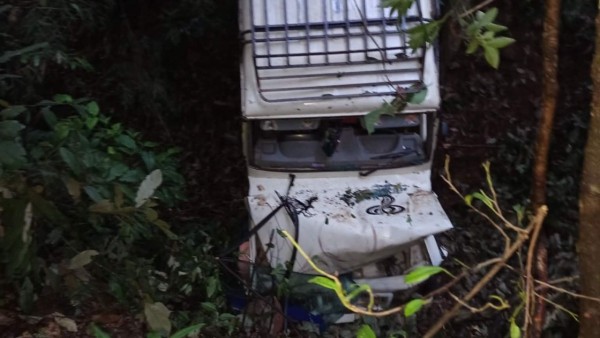 घुम्ती–बिरुवा सडकमा जिप दुर्घटना, ११ जना घाइते