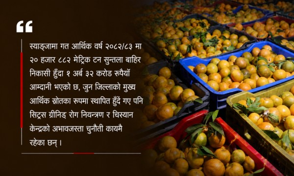 स्याङ्जाको सुन्तलाबाट एक वर्षमै सवा अर्बभन्दा बढी आम्दानी