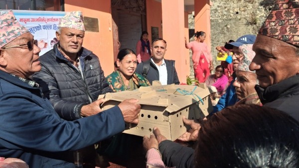 पुतलीबजारका करिब एक हजारलाई कुखुराका चल्ला वितरण