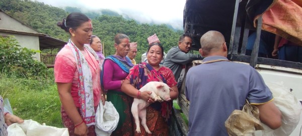 महिलाहरुलाई आत्मनिर्भर बनाउन बङ्गुरका पाठापाठी वितरण