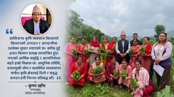 वालिङमा कृषि व्यवसाय विस्तार, दुई हजार किसानको आम्दानीमा टेवा