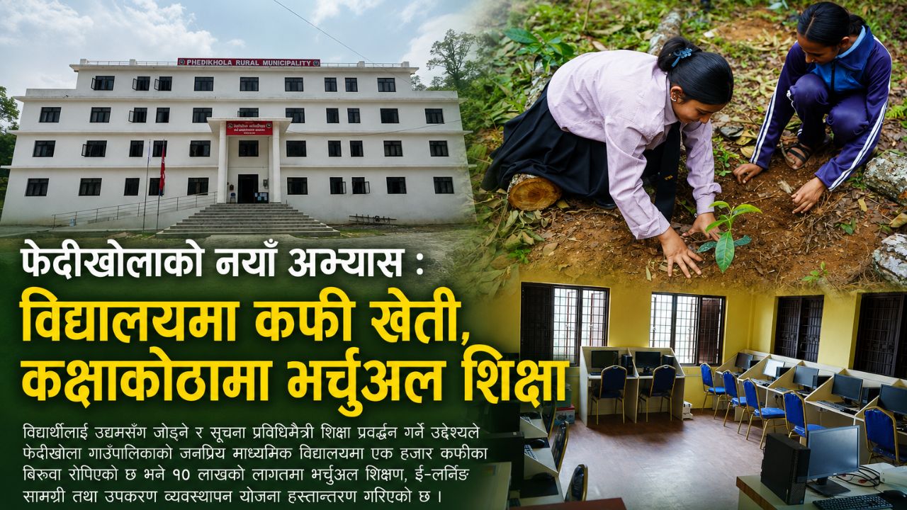 फेदीखोलाको नयाँ अभ्यास: विद्यालयमा कफी खेती, कक्षाकोठामा भर्चुअल शिक्षा