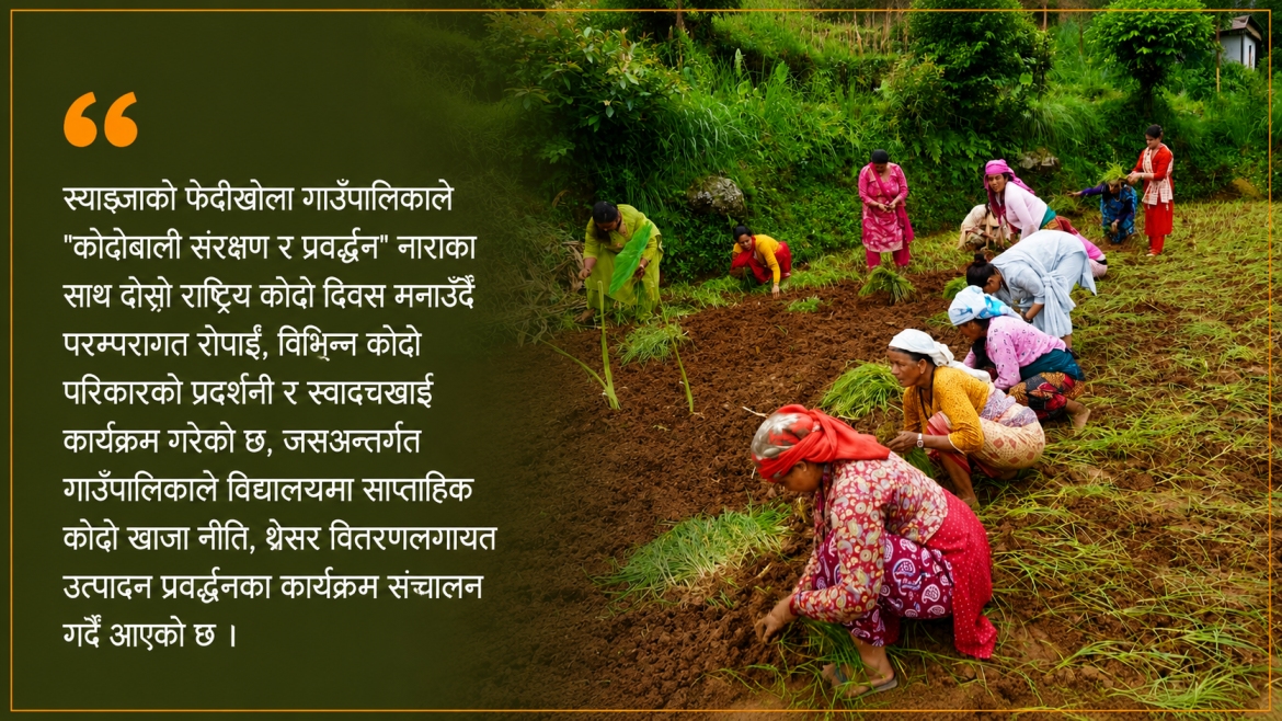 फेदीखोलामा राष्ट्रिय कोदो दिवस, स्थानीय परिकार र खेती प्रवर्द्धनमा जोड