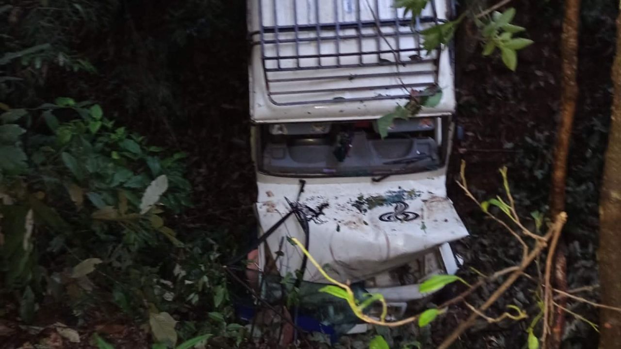 घुम्ती–बिरुवा सडकमा जिप दुर्घटना, ११ जना घाइते