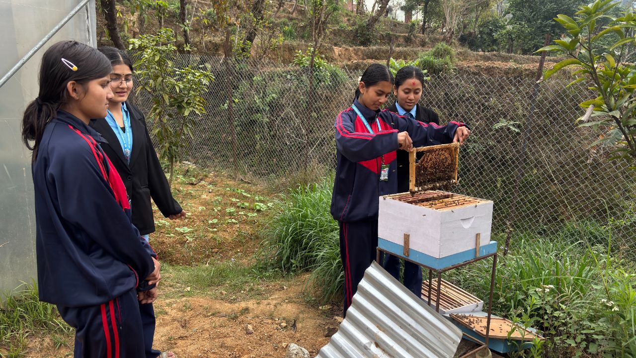 Panchakanya-Secondary-School-students-move-towards-self-reliance-by-cultivating-vegetables-along-with-their-studies-2-1779686459.jpg