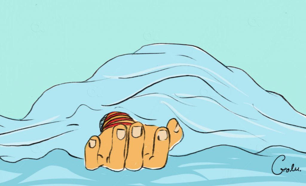 घाँस काट्ने क्रममा भिरबाट लडेर महिलाको मृत्यु