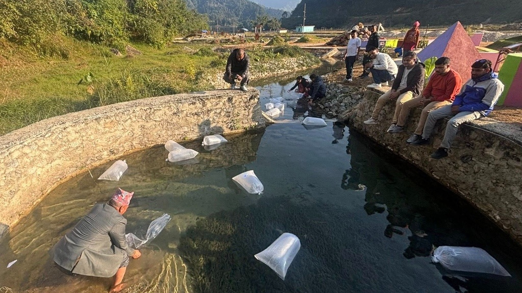 दरौंखोला र गड्यौलीखोलामा ७५ हजार माछाका भुरा छाडियो