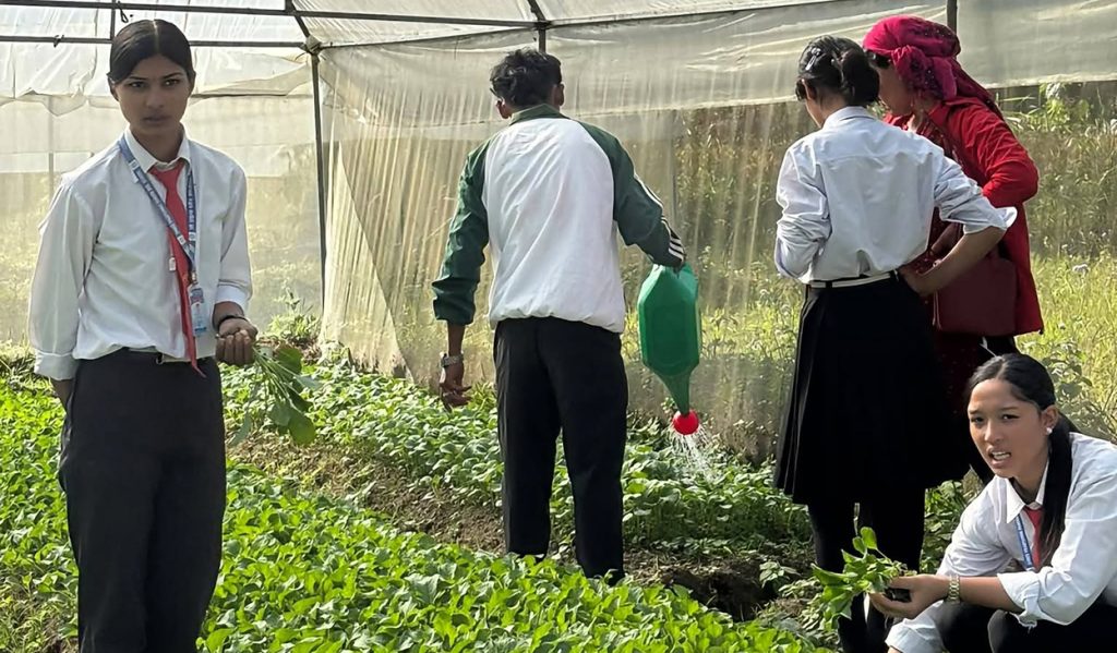 पढाइसँगै खेतीपातीमा रमाउँदै प्रद्युम्न पनेरू माविका विद्यार्थी