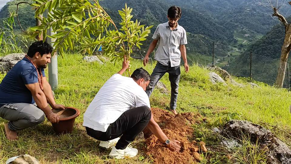 १२ राशि र ९ ग्रहसँग सम्बन्धित वृक्षहरू विधिपूर्वक रोपिँदै, नेपालकै नमुना धार्मिक–प्राकृतिक अध्ययनस्थलतर्फ अघि बढ्ने घोषणा
